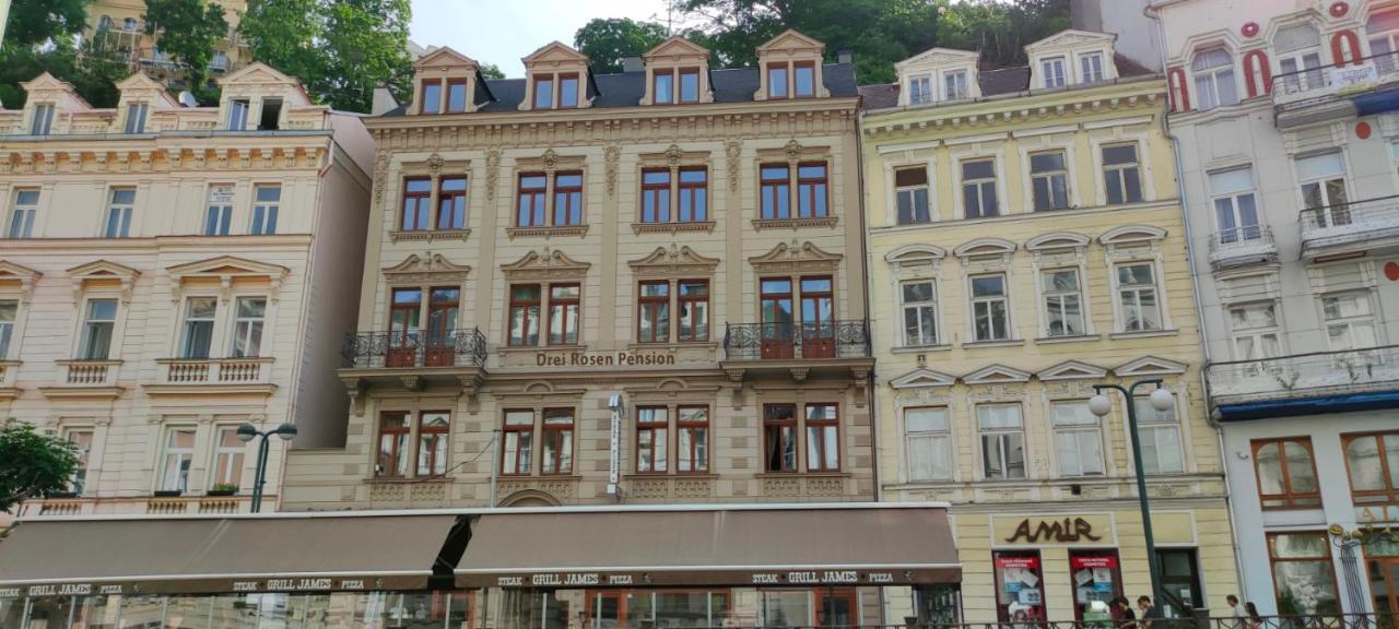 Pension Drei Rosen Karlovy Vary Dış mekan fotoğraf